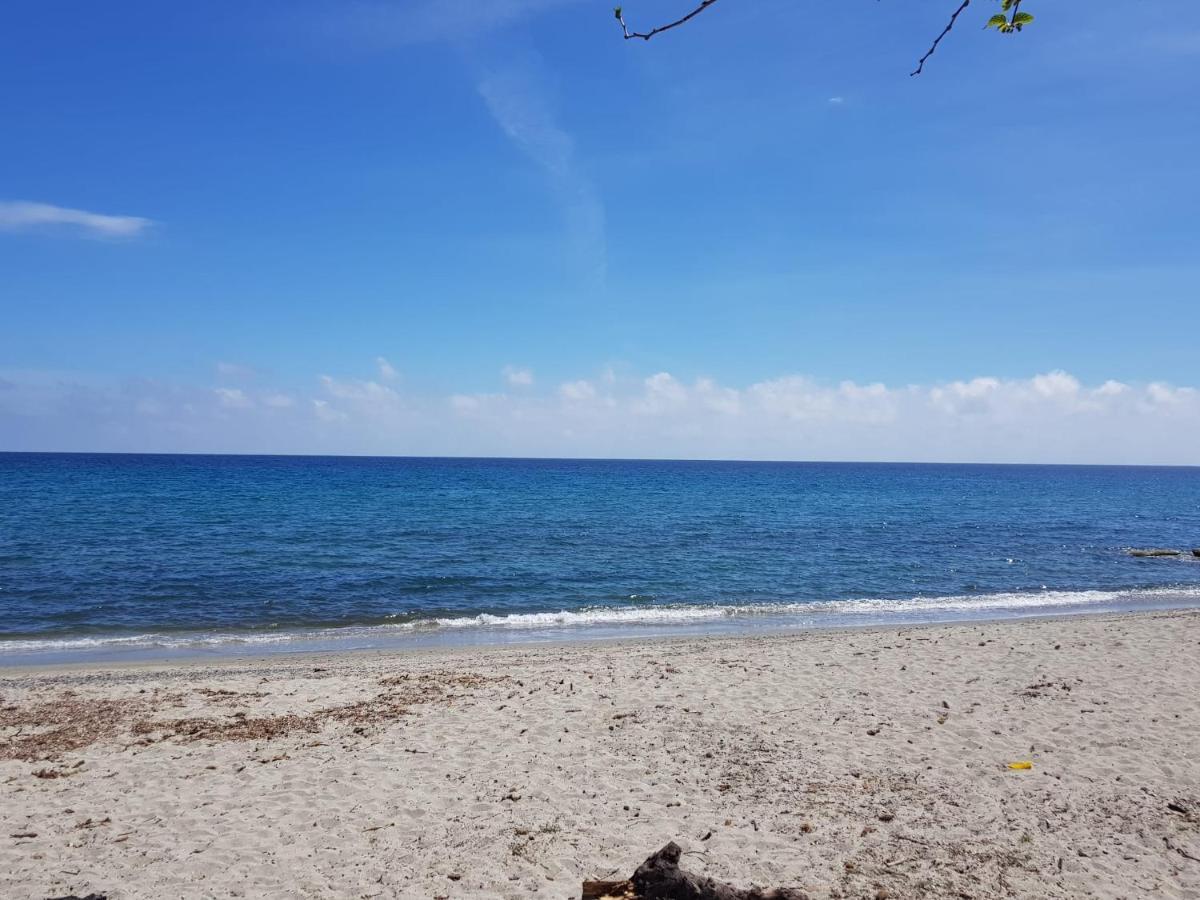 Maisons T2 Avec Jardins Privatifs - 10Mn De La Plage Et 5Mn Du Village - Casa Di I Trinelli Vescovato Εξωτερικό φωτογραφία